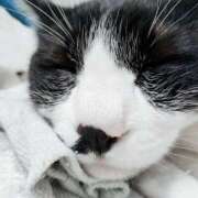 ヒメ日記 2025/04/26 09:47 投稿 ひめな 西川口淑女館