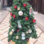 ヒメ日記 2024/12/18 22:44 投稿 れい 秘密倶楽部 凛 船橋本店