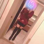 ヒメ日記 2025/04/25 15:08 投稿 れい 秘密倶楽部 凛 船橋本店