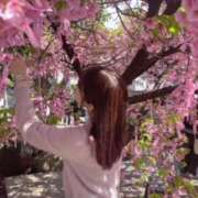 ヒメ日記 2025/03/18 12:25 投稿 みう ゴッドハンド