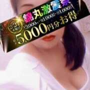 ヒメ日記 2025/02/27 13:43 投稿 黒木（くろき） 丸妻 錦糸町店