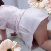 ヒメ日記 2025/09/14 19:52 投稿 黒木（くろき） 丸妻 錦糸町店