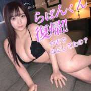 らぱんくんʕ•ᴥ•ʔ らぱんくん復帰しました ラナ鶯谷