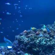 ヒメ日記 2025/06/13 15:23 投稿 りる VIP