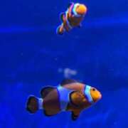 ヒメ日記 2025/10/04 14:53 投稿 りる VIP