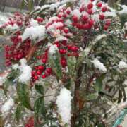 ヒメ日記 2026/01/03 01:38 投稿 るる 密着指導！バカンス学園 尼崎校