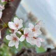 ヒメ日記 2026/04/16 15:33 投稿 るる 密着指導！バカンス学園 尼崎校