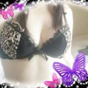 ヒメ日記 2025/08/27 11:27 投稿 みつば 熟女家 堺東店