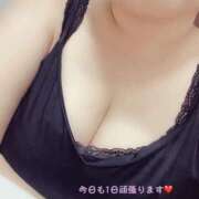 ヒメ日記 2025/06/12 10:16 投稿 静羅(せいら) 人妻城 横浜本店