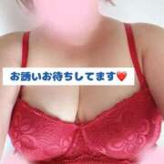 ヒメ日記 2025/08/09 08:00 投稿 静羅(せいら) 人妻城 横浜本店