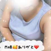 ヒメ日記 2025/09/09 10:00 投稿 静羅(せいら) 人妻城 横浜本店