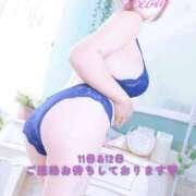 ヒメ日記 2026/08/11 10:32 投稿 静羅(せいら) 人妻城 横浜本店