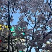 ヒメ日記 2025/03/26 16:29 投稿 つき 池袋マリン別館