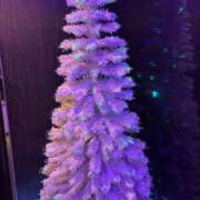 ヒメ日記 2025/11/27 19:26 投稿 すい 隙のあるエステ