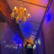 ヒメ日記 2025/12/18 12:16 投稿 すい 隙のあるエステ