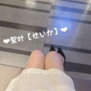 ヒメ日記 2025/05/23 11:09 投稿 ♡せいか♡ MUTEKI LAND