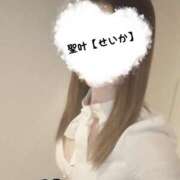 ヒメ日記 2025/05/25 01:29 投稿 ♡せいか♡ MUTEKI LAND