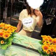 ヒメ日記 2025/08/07 23:19 投稿 ♡せいか♡ MUTEKI LAND