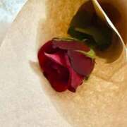 ヒメ日記 2026/03/15 02:21 投稿 ♡せいか♡ MUTEKI LAND大阪店