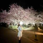 ヒメ日記 2026/03/23 00:31 投稿 ♡せいか♡ MUTEKI LAND大阪店