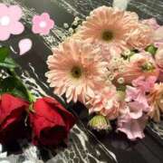 ヒメ日記 2026/03/28 23:51 投稿 ♡せいか♡ MUTEKI LAND大阪店