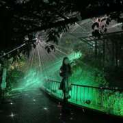 ヒメ日記 2026/03/30 22:24 投稿 ♡せいか♡ MUTEKI LAND大阪店