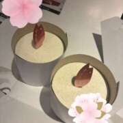 ヒメ日記 2026/03/31 19:05 投稿 ♡せいか♡ MUTEKI LAND大阪店