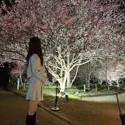 ヒメ日記 2026/03/31 19:11 投稿 ♡せいか♡ MUTEKI LAND大阪店