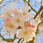 ヒメ日記 2025/03/28 15:21 投稿 ★天空の花嫁★ Cinderella Collection(シンデレラコレクション)