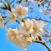 ヒメ日記 2025/04/09 13:09 投稿 ★天空の花嫁★ Cinderella Collection(シンデレラコレクション)