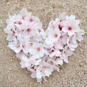 ヒメ日記 2025/04/11 12:49 投稿 ★天空の花嫁★ Cinderella Collection(シンデレラコレクション)