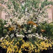 ヒメ日記 2025/05/09 14:26 投稿 ★天空の花嫁★ Cinderella Collection(シンデレラコレクション)