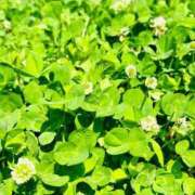 ヒメ日記 2025/05/14 15:06 投稿 ★天空の花嫁★ Cinderella Collection(シンデレラコレクション)