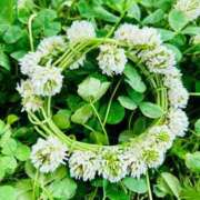 ヒメ日記 2025/06/16 14:46 投稿 ★天空の花嫁★ Cinderella Collection(シンデレラコレクション)