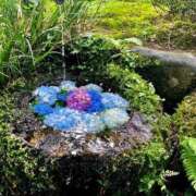 ヒメ日記 2025/07/14 14:25 投稿 ★天空の花嫁★ Cinderella Collection(シンデレラコレクション)