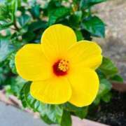 ヒメ日記 2025/08/04 15:06 投稿 ★天空の花嫁★ Cinderella Collection(シンデレラコレクション)