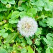 ヒメ日記 2025/08/08 15:36 投稿 ★天空の花嫁★ Cinderella Collection(シンデレラコレクション)