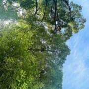 ヒメ日記 2025/09/26 15:16 投稿 ★天空の花嫁★ Cinderella Collection(シンデレラコレクション)