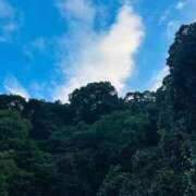 ヒメ日記 2025/10/22 16:46 投稿 ★天空の花嫁★ Cinderella Collection(シンデレラコレクション)