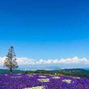 ヒメ日記 2025/10/27 14:16 投稿 ★天空の花嫁★ Cinderella Collection(シンデレラコレクション)