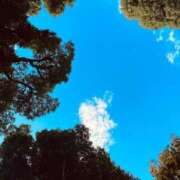 ヒメ日記 2025/10/29 15:16 投稿 ★天空の花嫁★ Cinderella Collection(シンデレラコレクション)