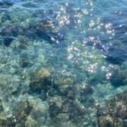 ヒメ日記 2025/04/01 22:53 投稿 ひな 柏人妻花壇