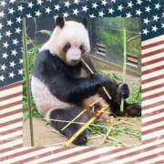 ヒメ日記 2026/01/20 10:08 投稿 ひな 柏人妻花壇