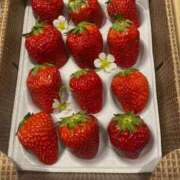 ヒメ日記 2026/02/15 16:21 投稿 ひな 柏人妻花壇