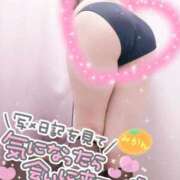 ヒメ日記 2026/02/12 11:13 投稿 みかん 丸妻 横浜本店