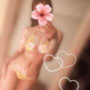 ヒメ日記 2025/04/03 12:09 投稿 紗原　なほ やみつきエステ2nd札幌店