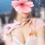 ヒメ日記 2025/04/28 12:08 投稿 紗原　なほ やみつきエステ2nd札幌店