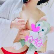 ヒメ日記 2025/01/24 08:17 投稿 ねね 渋谷 風俗 奥様発情の会