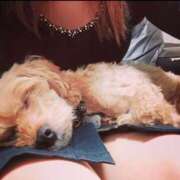 ヒメ日記 2025/02/20 12:01 投稿 ねね 渋谷 風俗 奥様発情の会