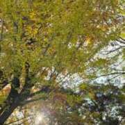 ヒメ日記 2025/11/29 19:52 投稿 ねね 渋谷 風俗 奥様発情の会